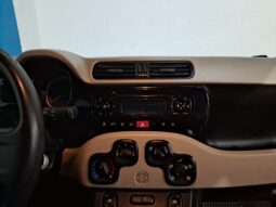 
										FIAT PANDA 1.2 LOUNGE completo									