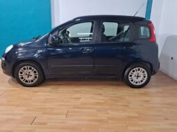 
										FIAT PANDA 1.2 LOUNGE completo									