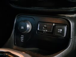 
										JEEP RENEGADE 2.0 4X4  LIMITED completo									