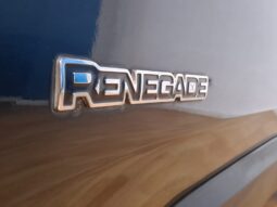 
										JEEP RENEGADE 2.0 4X4  LIMITED completo									
