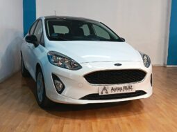 
										FORD FIESTA 1.1 TREND completo									
