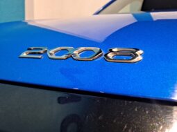 
										PEUGEOT 2008 1.2 ACTIVE completo									