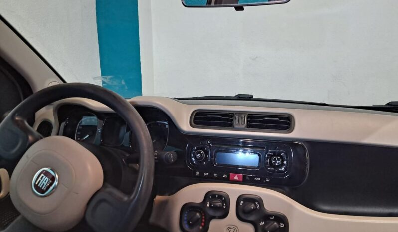 
								FIAT PANDA 1.2 LOUNGE completo									