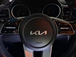 
										KIA XCEED 1.0 T-GDI DRIVE completo									