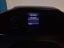 
										PEUGEOT 2008 1.2 STYLE completo									