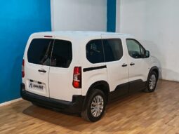 
										PEUGEOT RIFTER 1.5 ACCESS STANDARD completo									