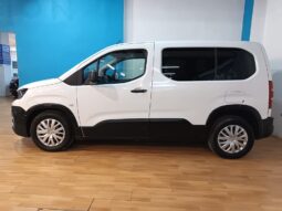 
										PEUGEOT RIFTER 1.5 ACCESS STANDARD completo									