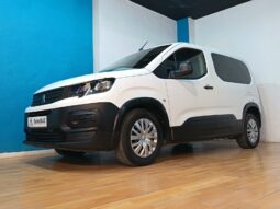 
										PEUGEOT RIFTER 1.5 ACCESS STANDARD completo									