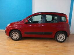 
										FIAT PANDA 1.2 LOUNGE completo									