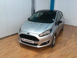 
										FORD FIESTA 1.2 TREND completo									