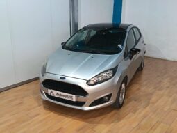 
										FORD FIESTA 1.2 TREND completo									