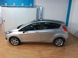 
										FORD FIESTA 1.2 TREND completo									