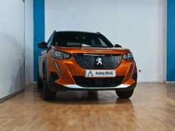 
										PEUGEOT 2008 1.2 ACTIVE completo									