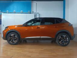 
										PEUGEOT 2008 1.2 ACTIVE completo									